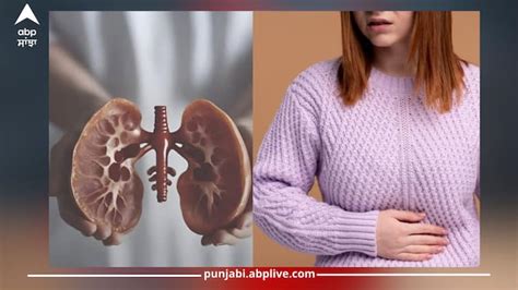 Worst Food For Kidneys: If kidney health is important then keep away ...