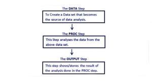 Image result for SAS Programming Structure with Example