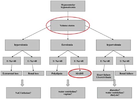 Hyponatremia Algorithm 的图像结果