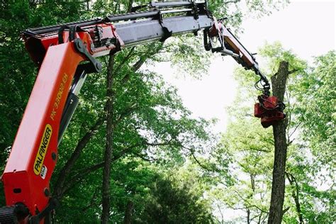 Image result for Remote Control Tree Removal