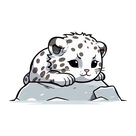 Premium Vector | Cute cartoon snow leopard vector illustration on white ...
