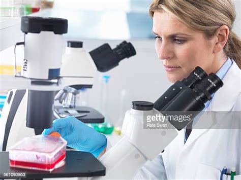 Inverted Microscope for Cell Stack 的图像结果