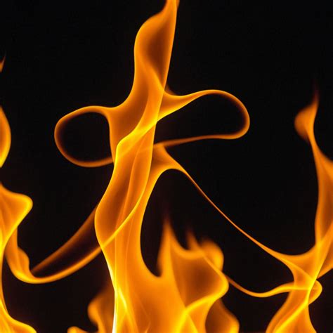 Image result for Fooocus Create Text