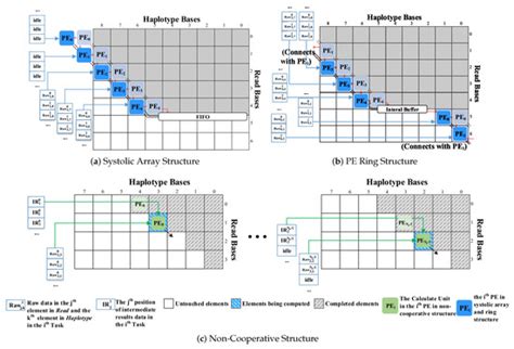 Comparative Analysis of FPGA-Based Pair-HMM Accelerator Structures