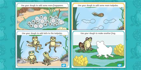 Frog Life Cycle Modelling Dough Mats (teacher made) - Twinkl