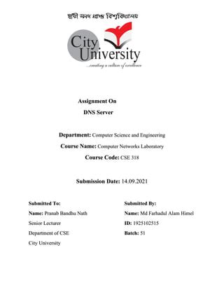 Image result for DNS Server Assignment