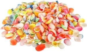 LICAN Natural Seashell Craft Shells Sippi for Aquarium Fish Tanks Art ...