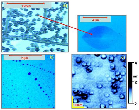 Influence of Dislocations in Transition Metal Oxides on Selected ...