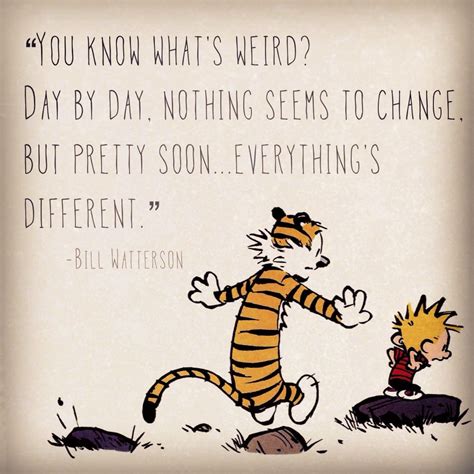 Calvin And Hobbes Quotes