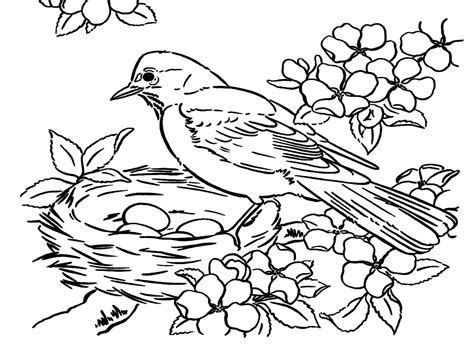 Florence Nightingale Printable Coloring Pages [2025]