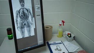 fabregas123: Whatcom County Jail Bookings