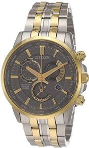 LIGHTWINGS Screen Guard for Citizen Eco-Drive Perpetual Calendar Men s ...