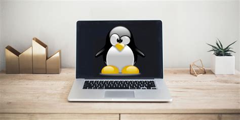 Linux 32-Bit 2022 的图像结果