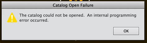 Image result for Adobe Organiser Elements 2021 Tutorial