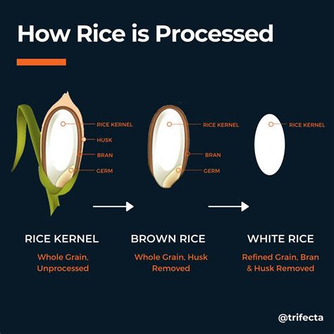 Brown Or White Rice Low Fodmap at Curtis Dolan blog