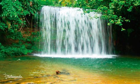 Rainiest City in the World 2024, List of Top-10