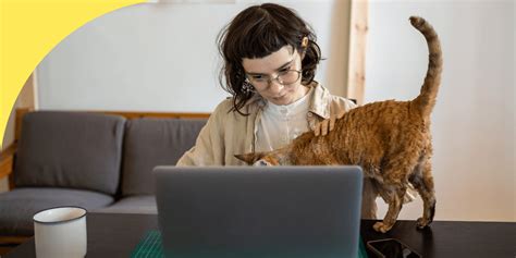 Math Major Jobs 的图像结果