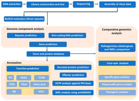 Genome Sequencing and Comparative Genomic Analysis of Attenuated Strain ...