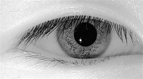 Image result for Infrared vision Technology