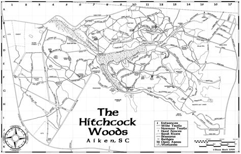 The Hitchcock Woods in the Center of Aiken, South Carolina