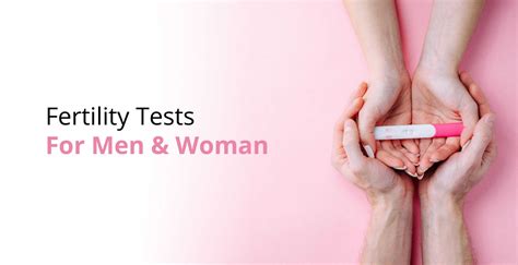 Fertility Blood Tests Explained at Kai Hartung blog