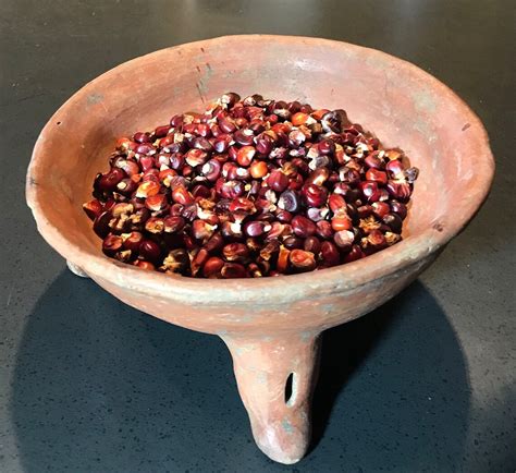 Apache Corn: A Culinary Journey Through Native American Flavors