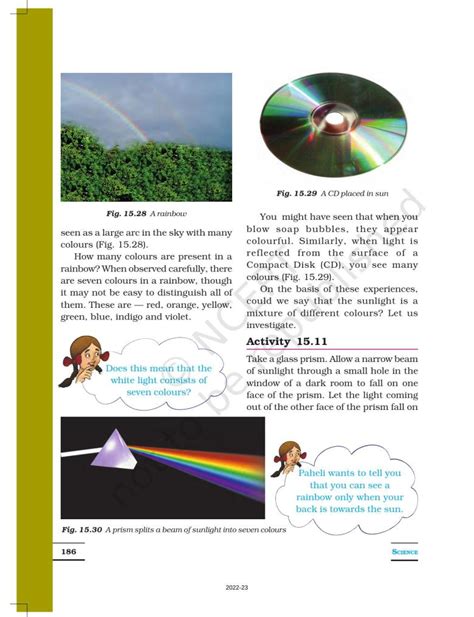 Image result for Science Class 7th Chapter Light