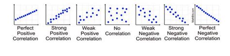 Correlation Figure 的图像结果