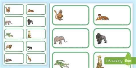 👉 Editable Rumble in the Jungle Signs and Labels - Twinkl