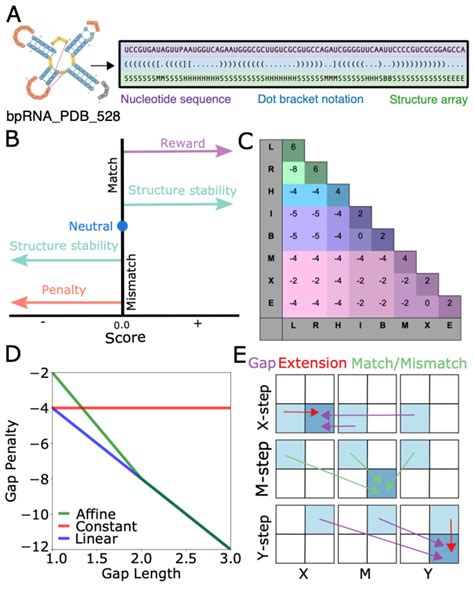 Needleman-Wunsch Tutorial 的图像结果
