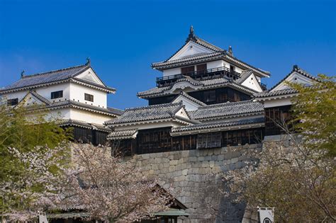 松山 城 に対する画像結果