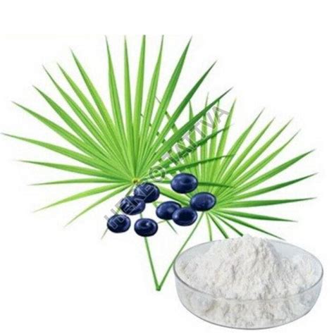 Saw Palmetto Extract Manufacturers and Suppliers from Bulandshahr