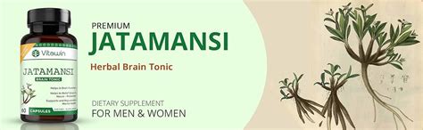 Buy VitaWin Jatamansi for Brain Tonic, Natural Herbal, 500 mg, Veg - 60 ...