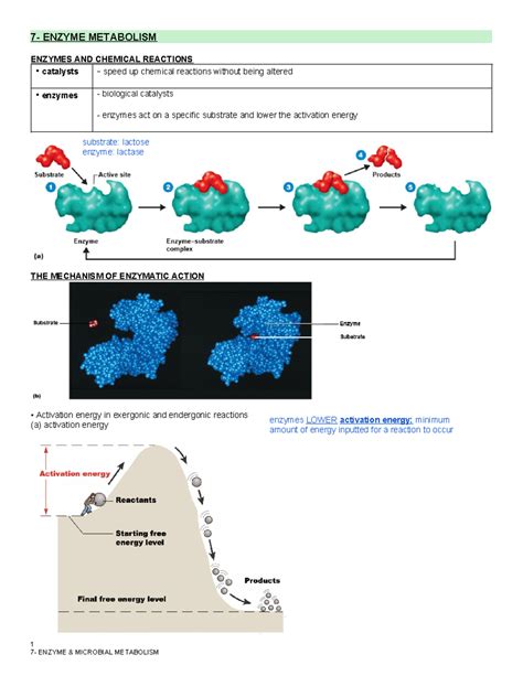 Image result for Enzyme Introduction