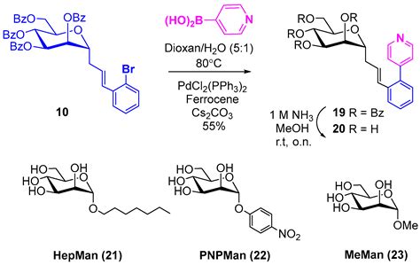 Insightful Improvement in the Design of Potent Uropathogenic E. coli ...