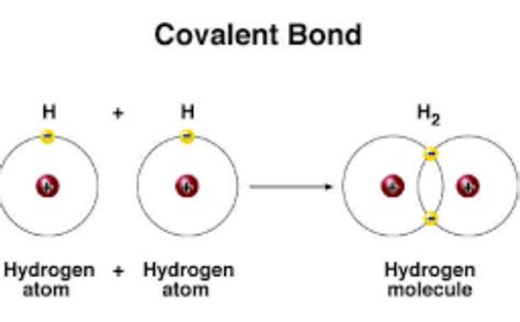 Image result for Covalent Bond Types