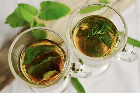 Guide to Making Andrographis Paniculata Tea, King of Bitters Tea ...