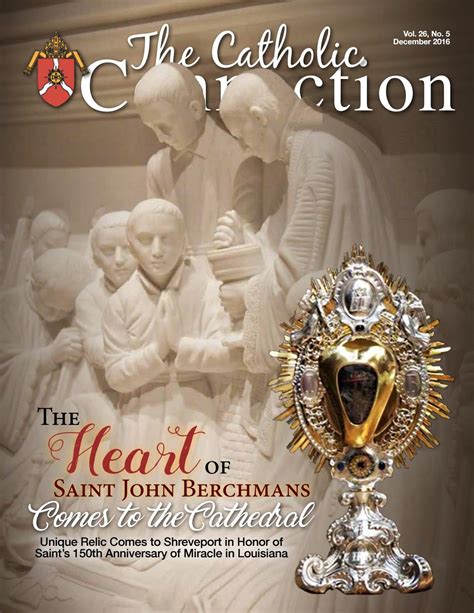 Image result for Catholic Connection