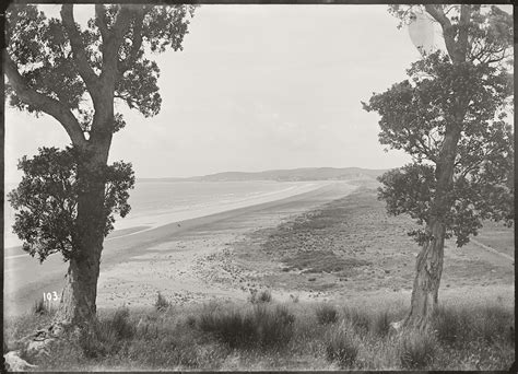 Rich History - Orewa — Orewa Sands