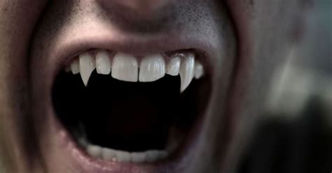 This Physicist Built A Calculator To Determine How Well We'd Survive A ...