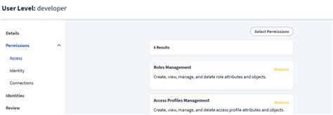 Custom User Levels in SailPoint ISC - BLS 360