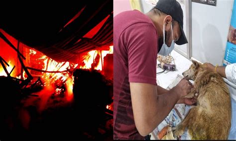 Burns, maggots, blood loss: Bhoiguda's unknown survivor fights for life