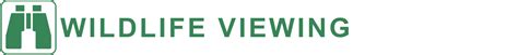 Wildlife viewing sites | Mass.gov