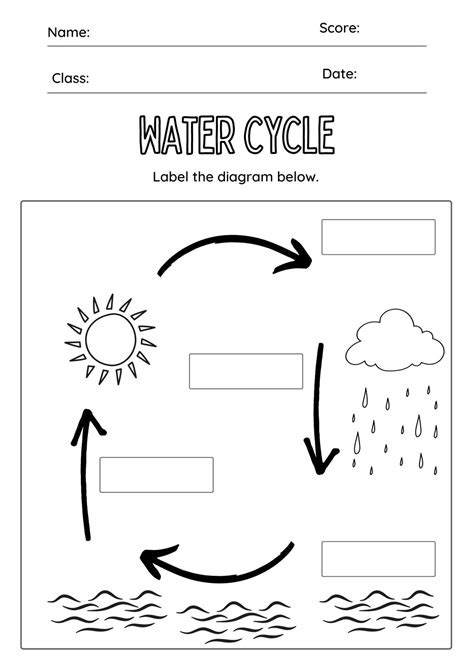 Printable Worksheets Water Cycle