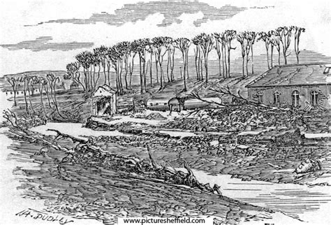 Searching Picture Sheffield