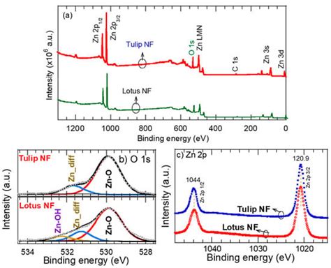 Hydrothermal Synthesis of ZnO Nanoflowers: Exploring the Relationship ...