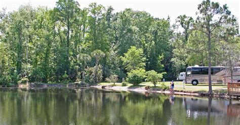 Tropical Palms Campground Florida: RV Camping & Nature
