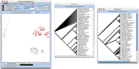 Image result for Tree Set Visualization Java