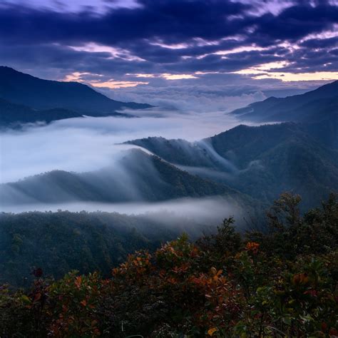 Image result for Fog Timelapse