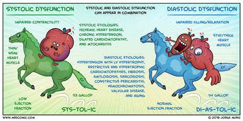 Congestive Heart Failure Pathophysiology